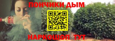 индика Каменск-Уральский