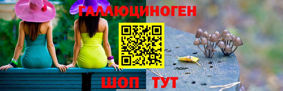 Галлюциногенные грибы Magic Shrooms  Галлюциногенные грибы ЛСД  Вход с VPN  Псков 