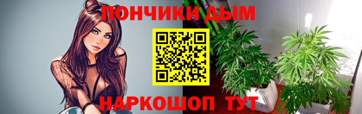 Марихуана Amnesia  МАРИХУАНА Ganja  Вход с VPN  Шишки марихуана план  Шишки марихуана OG Kush  Псков 